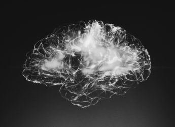 Image of a brain illustrating the launch of the new Mellum LLM by JetBrains that enhances its AI assistant for developers that specialises in software development tasks.
